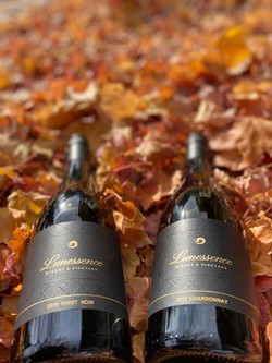 Fall 2020 6-Pack - WINE CLUB EXCLUSIVE